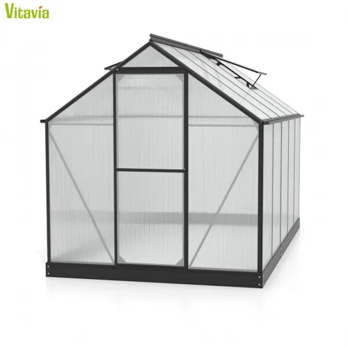 Vitavia Gewächshaus "Triton 6200" mit Zubehör - Garten-Zubehör: Aktionsangebot mit 100 Euro Zubehör, inklusive Hygrometer und Min-Max-Thermometer für optimale Pflanzenpflege.
