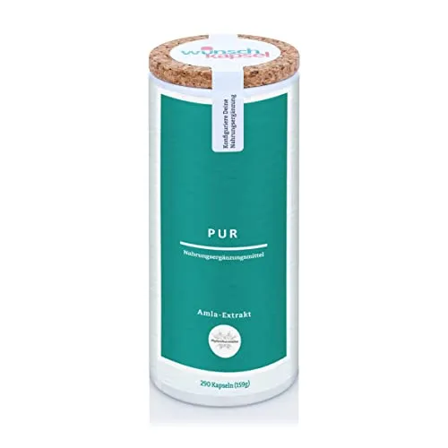 Amla-Extrakt Pur (Phyllanthus emblica), 500 mg/Tag, 290 handgefertigte Kapseln