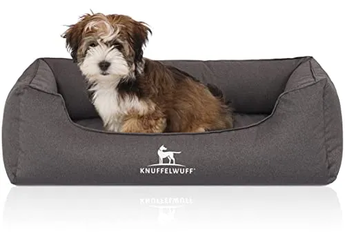 Knuffelwuff Orthopädisches Hundebett Leon - Velours, M-L 85 x 63cm, anthrazit - Hundebetten: Orthopädisches Design mit Memory Foam für Druckentlastung und Muskelentspannung. Wasserabweisend und waschbar, ideal für gesunde und schmerzlindernde Liegeflächen.
