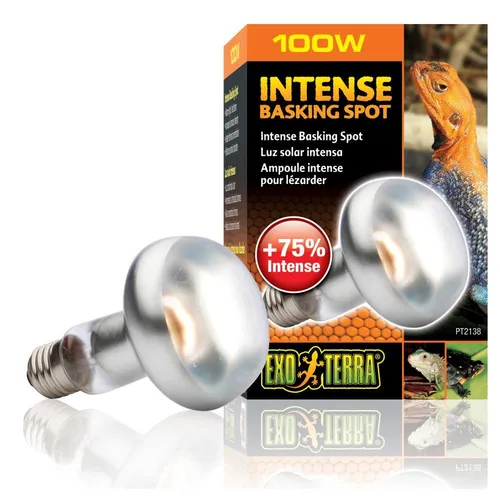 Sun Glo Intense Basking Spot 100 W - UVA Strahler für Terrarien, 35% mehr Licht und Wärme für optimale Thermoregulation