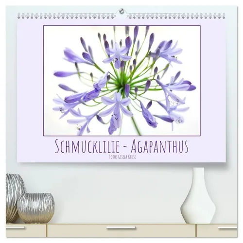 Schmucklilie - Agapanthus (hochwertiger Premium Wandkalender 2026 DIN A2...