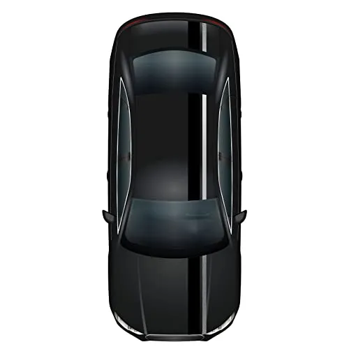 Rennstreifen Racing Stripes 5mx15cm und 10mx5cm Rallystreifen Viperstreifen für Fahrzeuge Auto Kfz Zubehör Tuning Streifen für Motorhaube Dach Heck (Schwarz Glanz/Silber metallic)