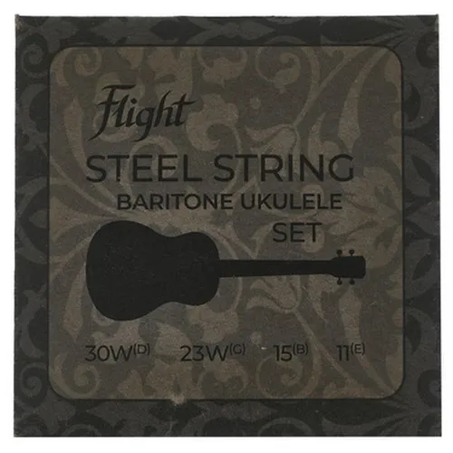 FBSS200 Steel Strings Baritone