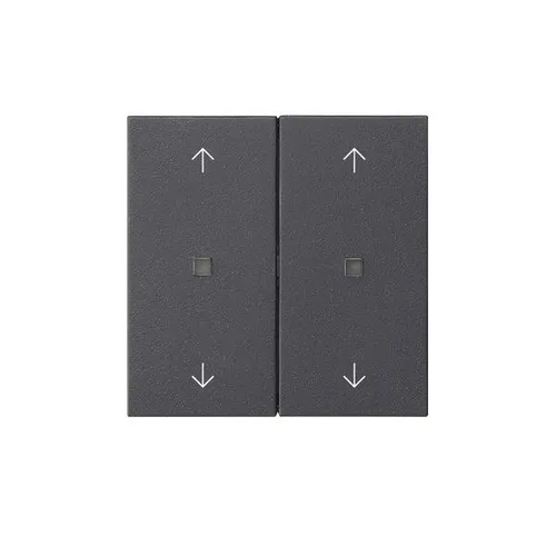 Gira Wippe 2-fach 538628 Taster Schalter Installationsschalterprogramme Wippe