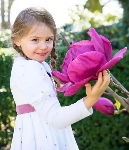 BALDUR Garten Magnolie 'Meganolia®' - Spektakuläre Blüten bis 30 cm - Blumen & Pflanzen: Elegante Rarität mit robusten, winterharten Eigenschaften. Ideal für sonnige bis halbschattige Standorte, pflegeleicht und mehrjährig.