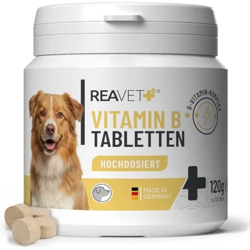 REAVET Vitamin B Tabletten 120 Stk - Tiergesundheit – Unterstützt Nerven, Haut & Verdauung mit 8 essenziellen B-Vitaminen für ein glänzendes Fell und vitales Wohlbefinden.