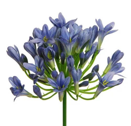 Kunstblume Kunstblume AGAPANTHUS ca 75cm. Liebesblumen, Schmucklilie, Floratexx GmbH