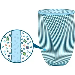 Sawyer Micro Squeeze Wasserfilter - Ultraleichter Outdoor Trinkwasseraufbereiter, filtert 99,99999% Bakterien und 99,9999% Protozoen, ideal für Camping und Wandern