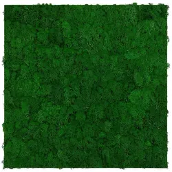 Jangal Akustikpaneel Modular Wall System Moos, Grün, Handmade Quality - Wand & Decke: Kreatives Moos-Wandpaneel in 52x52 cm für eine beruhigende Atmosphäre, umweltfreundlich und individuell kombinierbar.