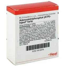 Atp Injeel forte Ampullen