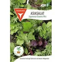 FRANKONIA Asiasalat Japanese Greens Mix