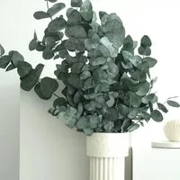 Lykke&You Konservierter Eukalyptus Cinerea - Schaffe eine entspannende Atmosphäre mit unserem konservierten Eukalyptus. Pflegeleicht und langlebig, bringt er zeitloses Flair in dein Zuhause. Ideal für jeden Raum!