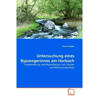 VDM Untersuchung eines Bypassgerinnes am Horbach (Patrick Rebbe, 2010) (55348257)