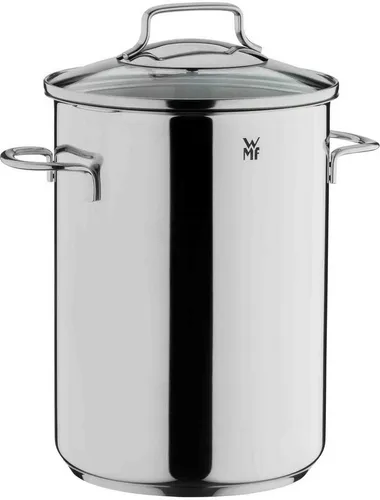 WMF Spargeltopf Kochtopf Induktion - 16cm, 5,0l Edelstahl mit Glasdeckel, ideal für schonendes Garen von Spargel und Gemüse