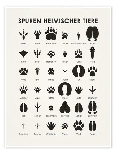 Posterlounge Poster Iris Luckhaus, Spuren heimischer Tiere I, Kinderzimmer Skandinavisch Kindermotive