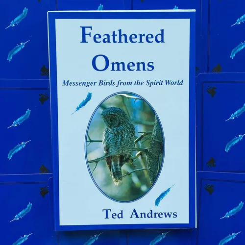 Feathered Omens MESSENGER Birds SPIRIT World Orakel-Karten & Buch-Set
