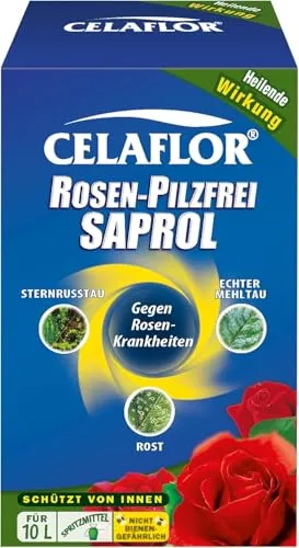 Celaflor Rosen-Pilzfrei Saprol - 100 ml, wirksames Fungizid gegen Echten Mehltau, Sternrußtau und Rost für gesunde Rosenblüten, bienenfreundlich und schont Nützlinge