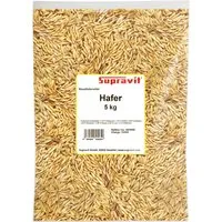 Supravit Hafer ganz 5kg | Hochwertiger ungeschälter Futterhafer für Pferde - Hochwertiger, ungeschälter Hafer in bester Qualität, leicht verdaulich und staubfrei. Ideal für mehr Energie und Ausdauer bei deinem Pferd. 100 % natürlich, ohne Zusätze, made in Germany.