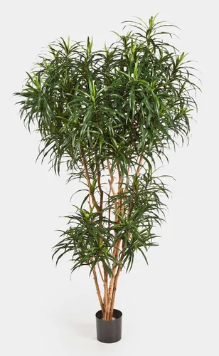 Kunstbaum Dracaena Reflexa Anita, 180 cm - Pflegeleichte Deko - Künstliche Dracaena Reflexa Anita mit 1740 Blättern, ideal für den Innenbereich. Pflegeleicht und langlebig, sorgt für eine grüne Atmosphäre in jedem Raum.