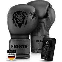 FIGHTR Boxhandschuhe FBG XIV 12oz – Optimaler Komfort für MMA und Boxtraining - Boxhandschuhe für Unisex Erwachsene, ideal für Boxen, MMA, Muay Thai & Kickboxen, mit perfektem Sitz und strapazierfähigem Kunstleder.
