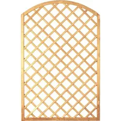 T & J Bogen-Rankzaun-Serie 120 cm x 180 cm/160 cm Grün - Sichtschutzzäune mit stabilen Rahmen und hochwertiger Verarbeitung, ideal für die kreative Gartengestaltung und um Ihrem Garten einen individuellen Flair zu verleihen.