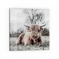 DEQORI Küchenrückwand 'Ruhendes Hochland', Glas Spritzschutz Badrückwand Herdblende braun|grau 60 cm x 60 cm