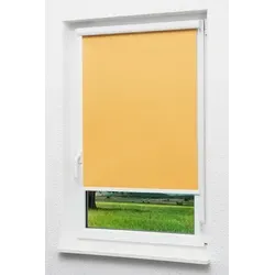 Verdunklungsrollo Lysel Outlet Kassettenrollo VD Aprikose, LYSEL®, abdunkelnd, HxB 175x40cm orange 40 cm x 175 cm