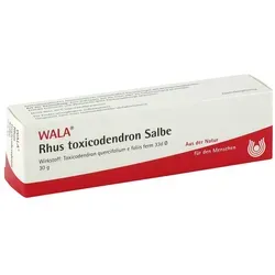 Rhus Tox. Salbe - Apothekenpflichtige Salbe zur Linderung von Schmerzen und Juckreiz, ideal bei Hautirritationen und rheumatischen Beschwerden.