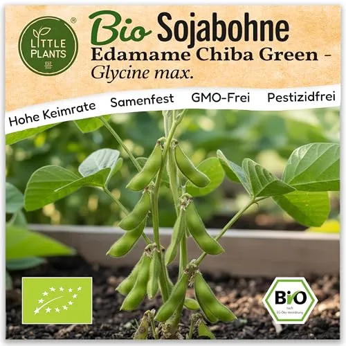 Little Plants BIO Sojabohne Samen 10 Sojabohnensamen Edamame Chiba Green Gemüsesamen Gemüsesaatgut Samenfest für Gemüsegarten, Hochbeet, Küche, Balkon und Garten