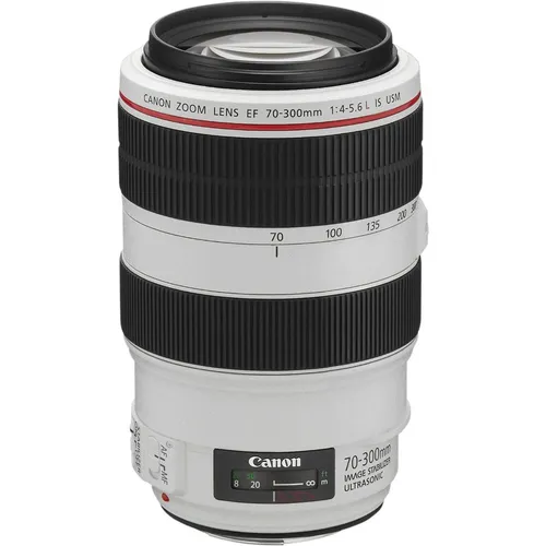 Canon EF 70-300mm f/4-5.6L IS USM (Canon EF, Vollformat) (4426B005)