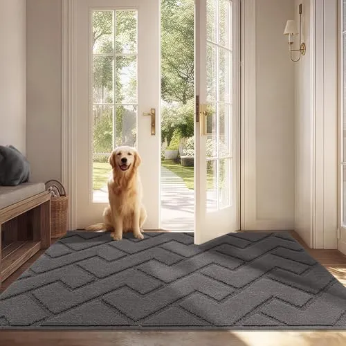 Biscpro Fußmatte Grau 80x120cm Innen und Außen, Waschbar Fussmatte, Wasserdicht Türmatte, Rutschfester Schmutzfänger Teppich für Eingang, Haustür, Patio, Flur, Garten