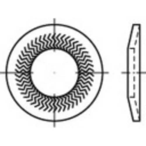 Alstertaler Schrauben & Präzisionsteile Sperrkantscheiben 12mm 18.3mm Federstahl verzinkt 100 St. 159416