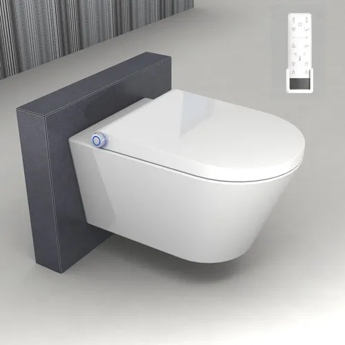 Dusch WC Spülrandlos Bidet Toilette elektrisch BERNSTEIN 1102Pro+ - Moderne Dusch-WC Komplettanlage, spülrandlos und hygienisch, ideal für stilvolle Badezimmer.