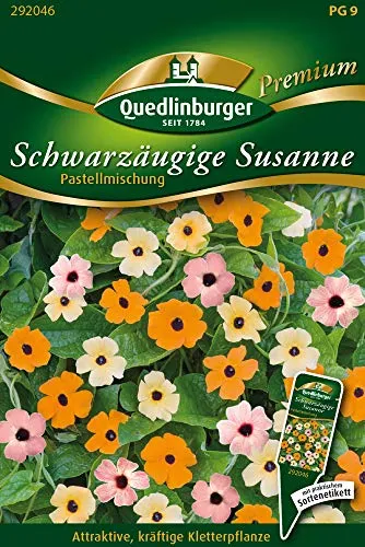 Schwarzäugige Susanne, Pastell Selektion