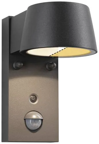 Paulmann 94714 LED Wandleuchte Capea mit Bewegungsmelder - Lampen mit IP44 Schutz, insektenfreundlichem Licht und Tunable-Warm-Funktion für gemütliche Abende.