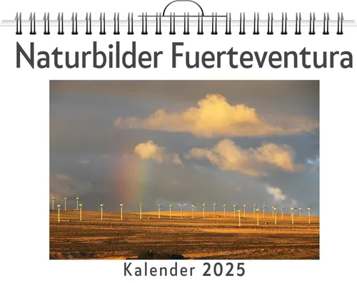 Sophia Maier | Naturbilder Fuerteventura | Kalender | Deutsch | Kalender | 14 S.