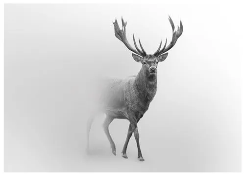 Fototapete Hirsch Tiere Grau 150x105 cm - inkl. Kleister - für Wohnzimmer Schlafzimmer Flur Modern Vlies Tapete Vliestapete Wandtapete Motivtapeten UV-Beständig