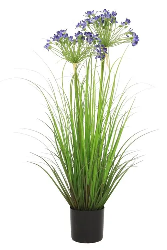 Kunstgras Deko Agapanthus BIBIANKA, blau, 80 cm - Hochwertige Kunstpflanze von artplants, ideal zur stilvollen Raumgestaltung. Mit einer Höhe von 80 cm bringt sie Farbe und Eleganz in Ihr Zuhause. Perfekt für den Innenbereich geeignet.