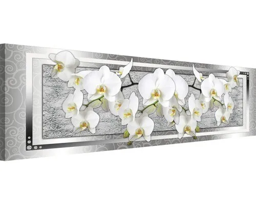 Leinwandbild Orchidee I 45x145 cm - Bilder & Drucke - Elegantes Orchideen-Motiv in leuchtenden Farben, perfekt für eine stilvolle Wandgestaltung.