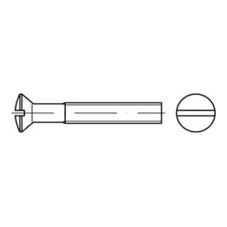 DIN 964 LinsenSenkkopfschraube M6x16 Messing vernickelt - Maschinenschrauben aus vernickeltem Messing, korrosionsbeständig und ideal für präzise Anwendungen in der Metallverarbeitung, 200 Stück im Set.