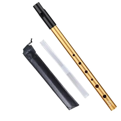 Irischer Tin Whistle Tonart D Ausgezeichnete Klangqualität Blockflöte Für Anfänger Musikliebhaber mit Schutzhülle
