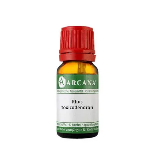 Rhus Toxicodendronicodendron LM 03 Dilution 10 ml