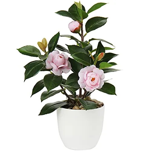 Briful Künstliche Zimmerpflanze Kamelie Kunstpflanze Camellia Japonica im Kunststofftopf Dekorative Seidenblumen Kamelie Kunstblumen für Home Hotel Dekoration