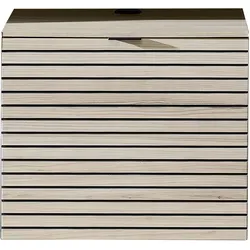 TV-Element Memphis in Eichefarben/Kaschmir - Modernes TV-Element in Eichefarben mit Drehtür und Soft-Close-System. Kompakte Maße (ca. 60 × 51 × 44 cm) bieten viel Stauraum für Mediengeräte. Pflegeleichte Oberflächen und stilvolle Metallbügelgriffe machen es ideal für jedes Wohnzimmer.