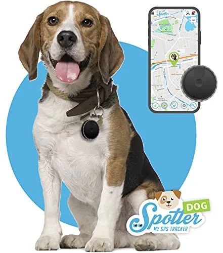 Pet Spotter Hunde-GPS-Tracker | Aktivitätentracker ohne Abo - Der kompakte GPS-Tracker für Hunde mit Aktivitäten-Tracking und Zonenüberwachung. Verfolgen Sie die Abenteuer Ihres Hundes jederzeit über Ihr Smartphone. Flexibel nutzbar ohne Abo-Verpflichtung!