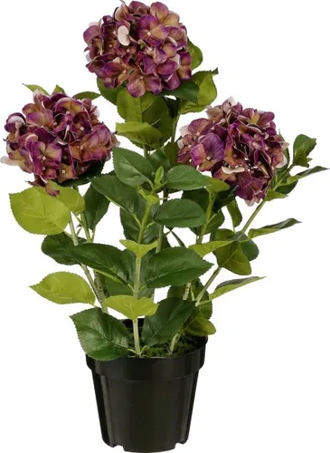 Mica Decorations Kunstpflanze Hortensie im Topf violett 40 cm - Schöne violette Hortensie im Topf, perfekt für die Dekoration. Aus 100% Polyester gefertigt, pflegeleicht und langlebig – ideal für jedes Zuhause.
