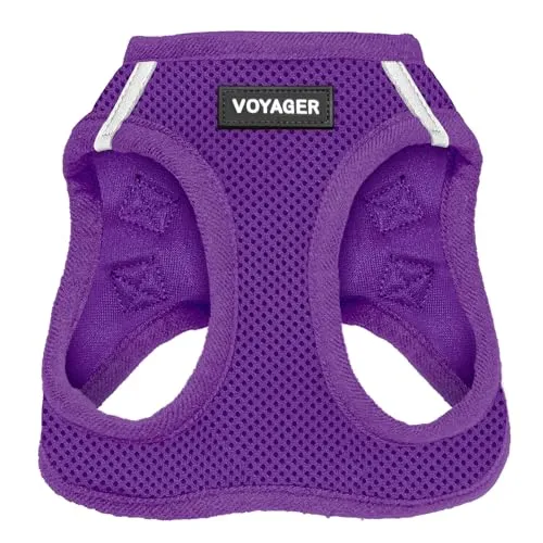 Best Pet Supplies Voyager Step-In Air Hundegeschirr - Wetterfestes Mesh Geschirr für kleine und mittlere Hunde, Lila, Größe M - Wetterfestes, atmungsaktives Mesh-Geschirr für ganzjährige Spaziergänge. Mit reflektierenden Bändern für mehr Sichtbarkeit und drei Sicherheitsmerkmalen für optimalen Schutz.