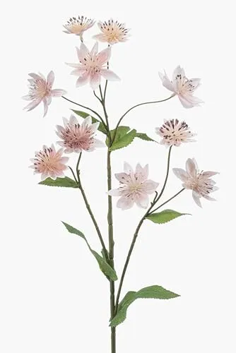 artplants.de Künstlicher Zweig Sterndolde JAXRON, Hellrosa, 70cm - Dekozweig