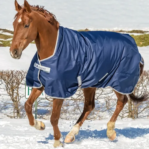 Bucas Outdoordecke 150g Freedom Turnout High Neck Navy/Silver 165 - Winterdecken für Pferde – Hochwertige und wasserdichte 150g Decke mit High Neck Schnitt für optimalen Schutz und Komfort bei jedem Wetter. Strapazierfähiges 600 Denier Material und Bewegungsfalten für maximale Freiheit.