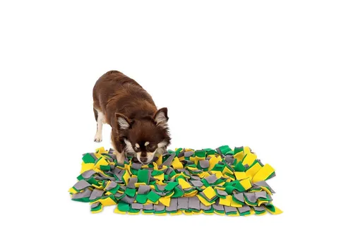 lionto Tier-Intelligenzspielzeug Schnüffelteppich für Hunde, 50x34 cm, gelb/grün, Textil, (1-tlg) Suchspielteppich & Futterspielmatte, rutschfest & pflegeleicht